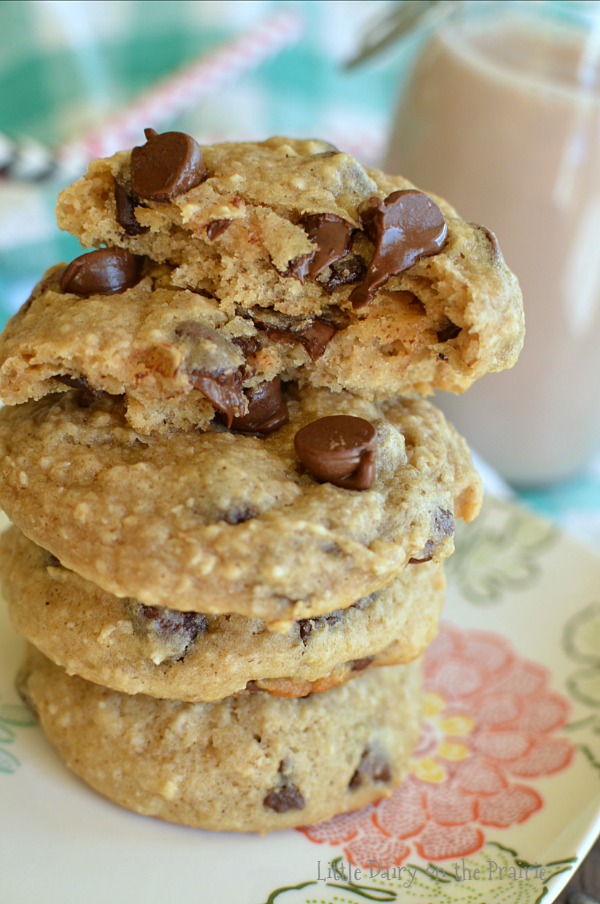 Healthy Chocolate Chip Banana Cookies - Little Dairy On the Prairie