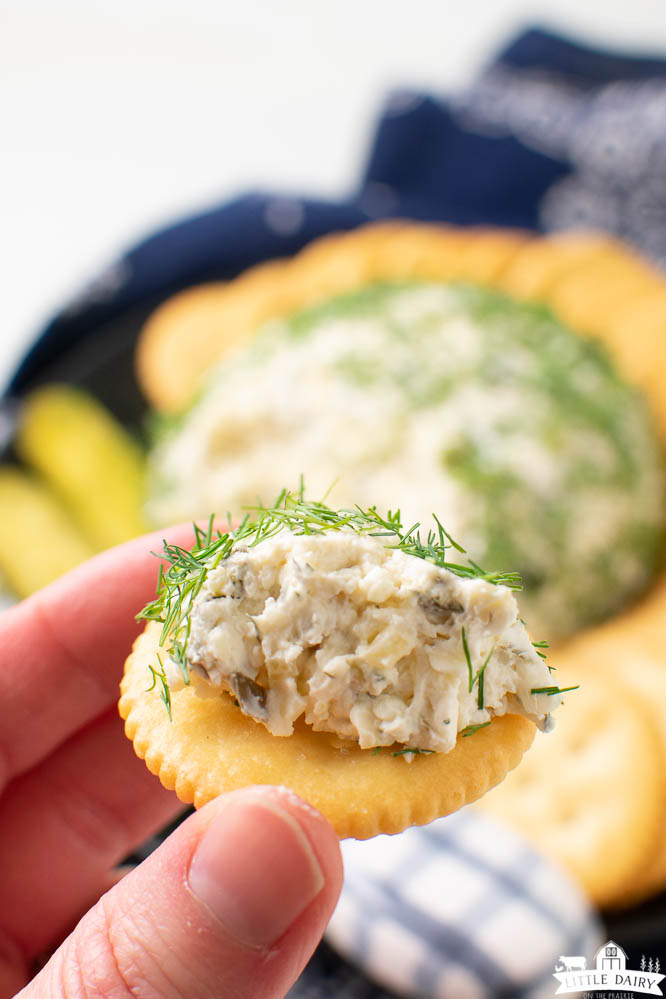 a round butter cracker topped with a piece of cream cheese dip and sprinkled with fresh herbs